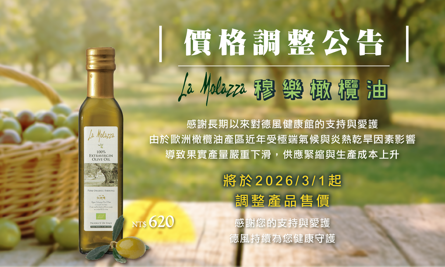 2026 03穆樂橄欖油漲價