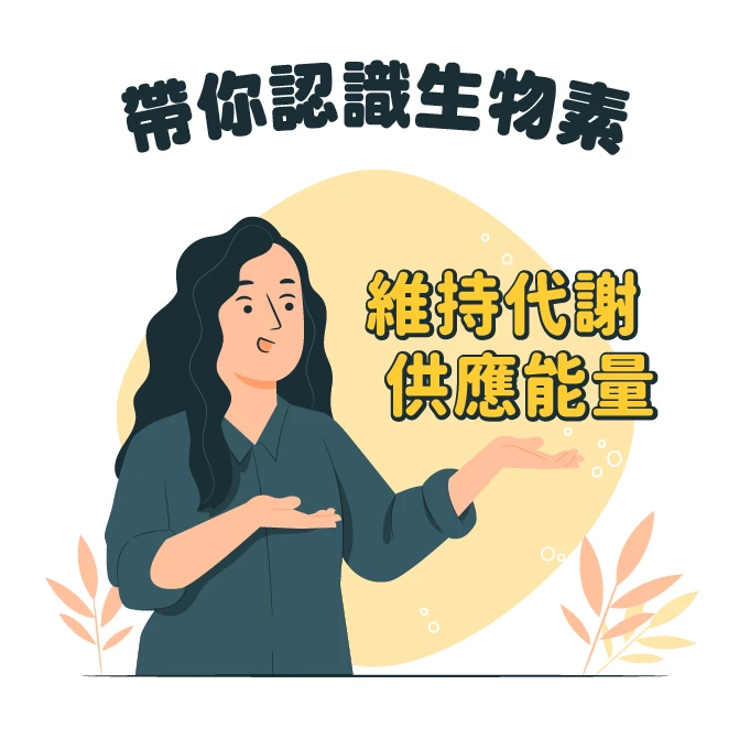 生物素是什麼？有什麼功效？