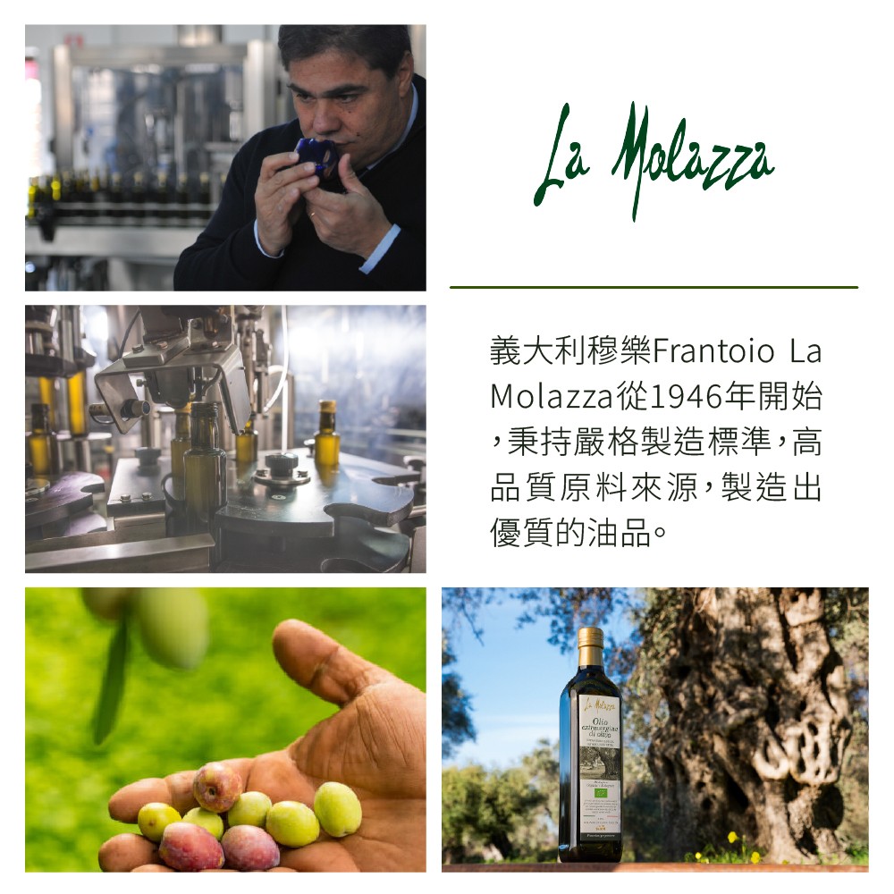 橄欖油推薦