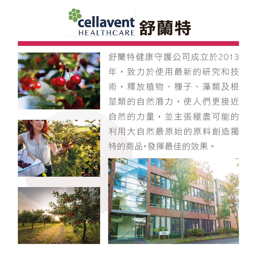 甜菜根推薦品牌