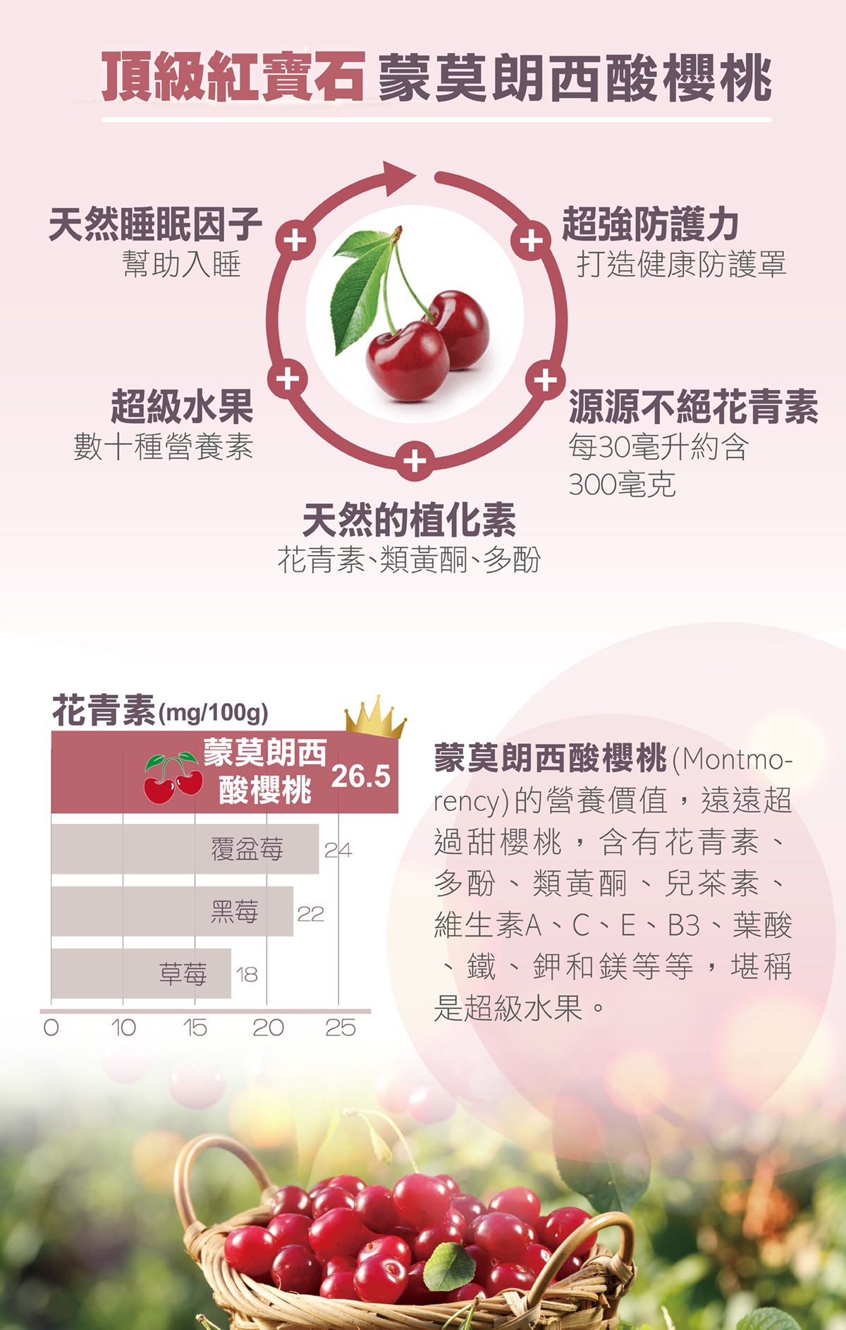 頂級紅寶石 蒙莫朗西酸櫻桃天然睡眠因子超強防護力幫助入睡打造健康防護罩++超級水果源源不絕花青素數十種營養素每30毫升約含+300毫克天然的植化素花青素、類黃酮、多酚花青素(mg/100g)蒙莫朗西26.5酸櫻桃覆盆莓24黑莓22草莓 181015 20 25蒙莫朗西酸櫻桃(Montmo-rency)的營養價值,遠遠超過甜櫻桃,含有花青素、多酚、類黃酮、兒茶素、維生素A、C、E、B3、葉酸、鐵、鉀和鎂等等,堪稱是超級水果。