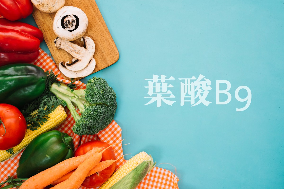 葉酸什麼人不能吃