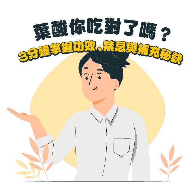 葉酸功效與禁忌介紹