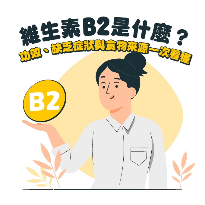 維生素B2的功效、缺乏症狀與每日攝取量整理