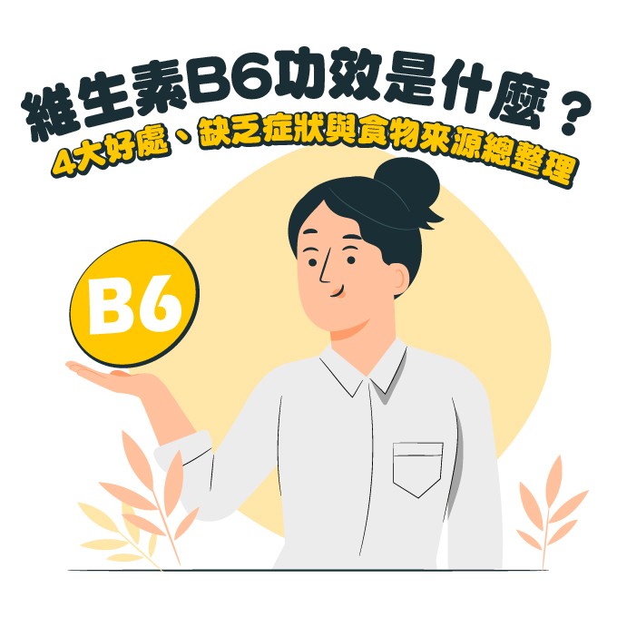維生素B6功效、缺乏症狀與食物來源整理