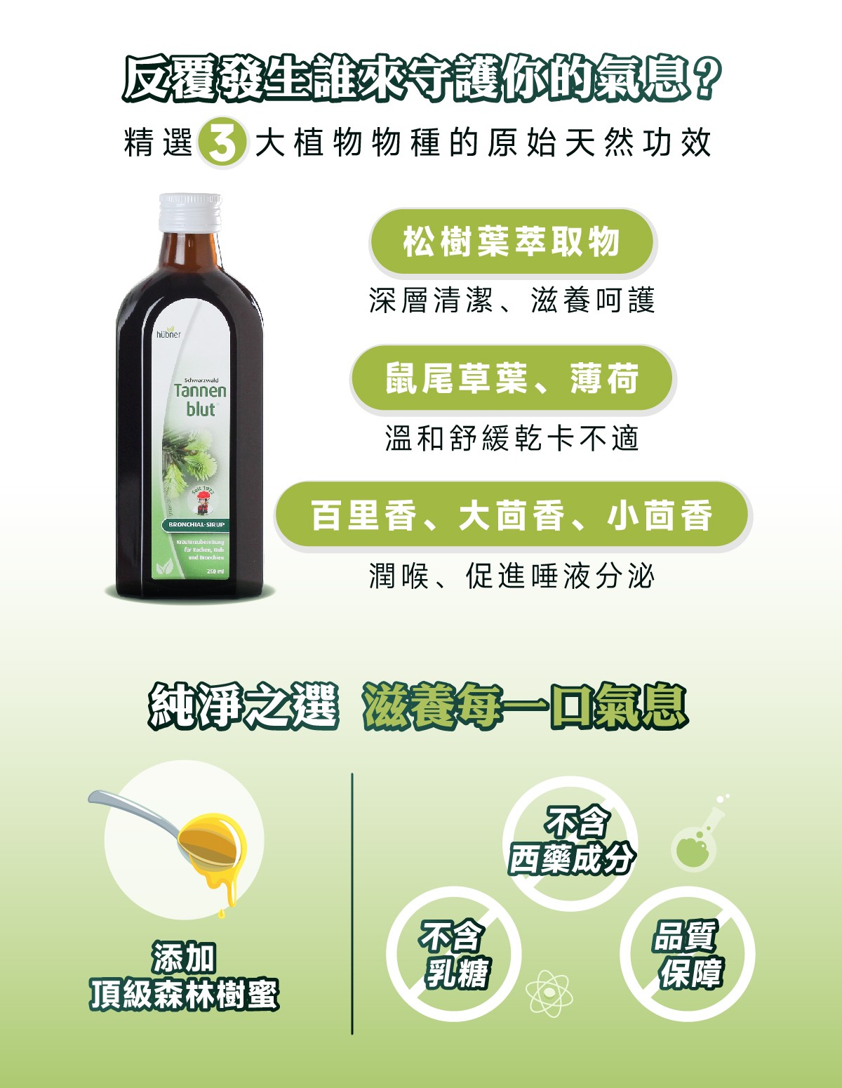 添加松樹葉、鼠尾草、薄荷等草本植物