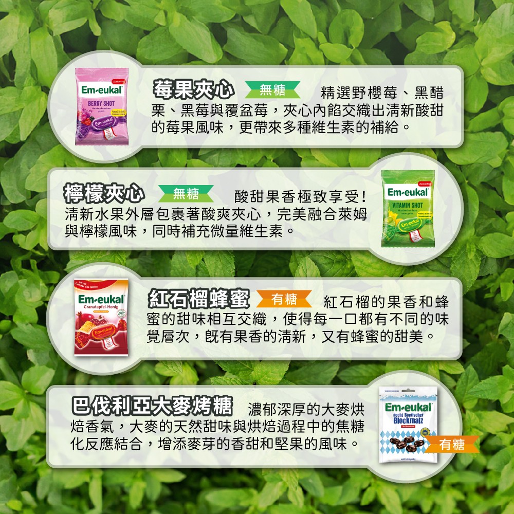 德國原裝進口品質保證