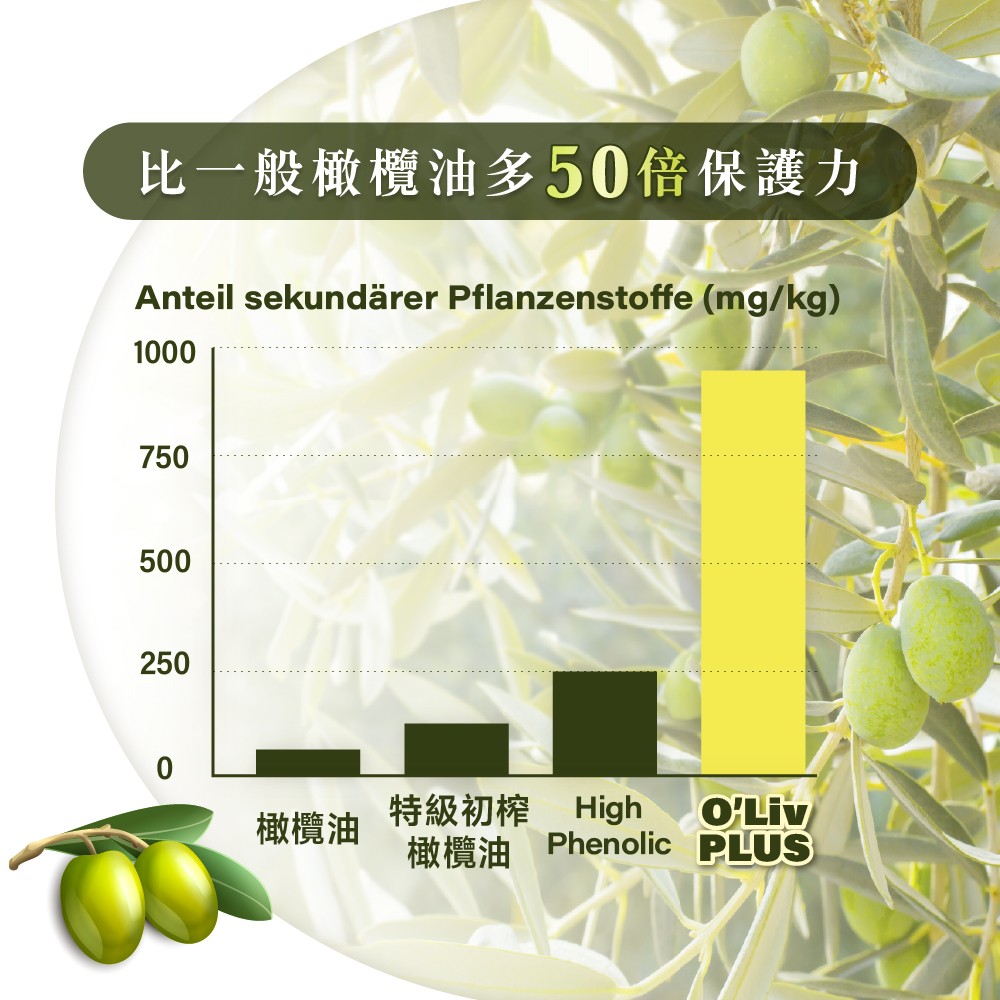 生飲橄欖油推薦