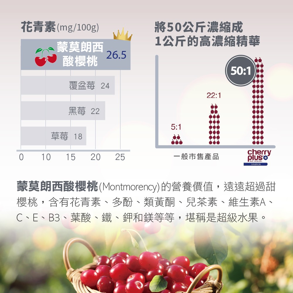 Montmorency酸櫻桃的好處