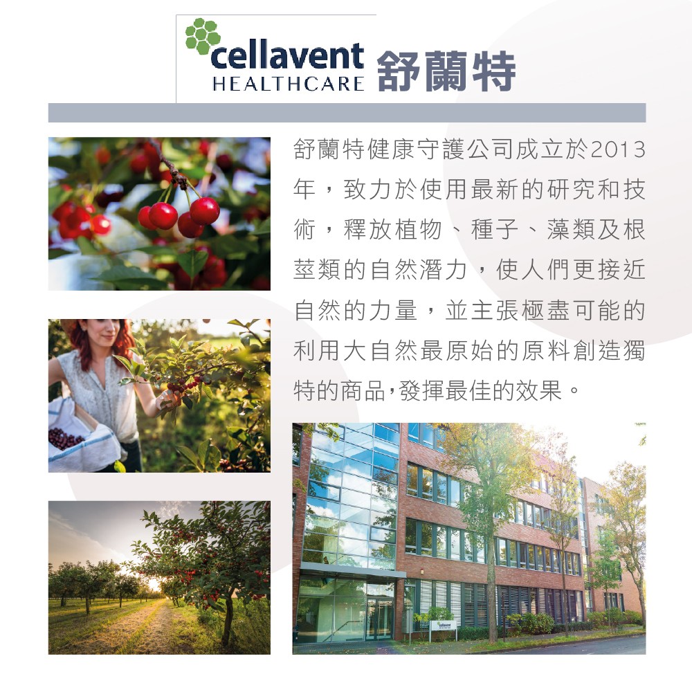 酸櫻桃推薦品牌