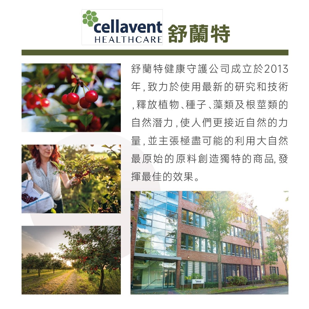 朝鮮薊推薦品牌