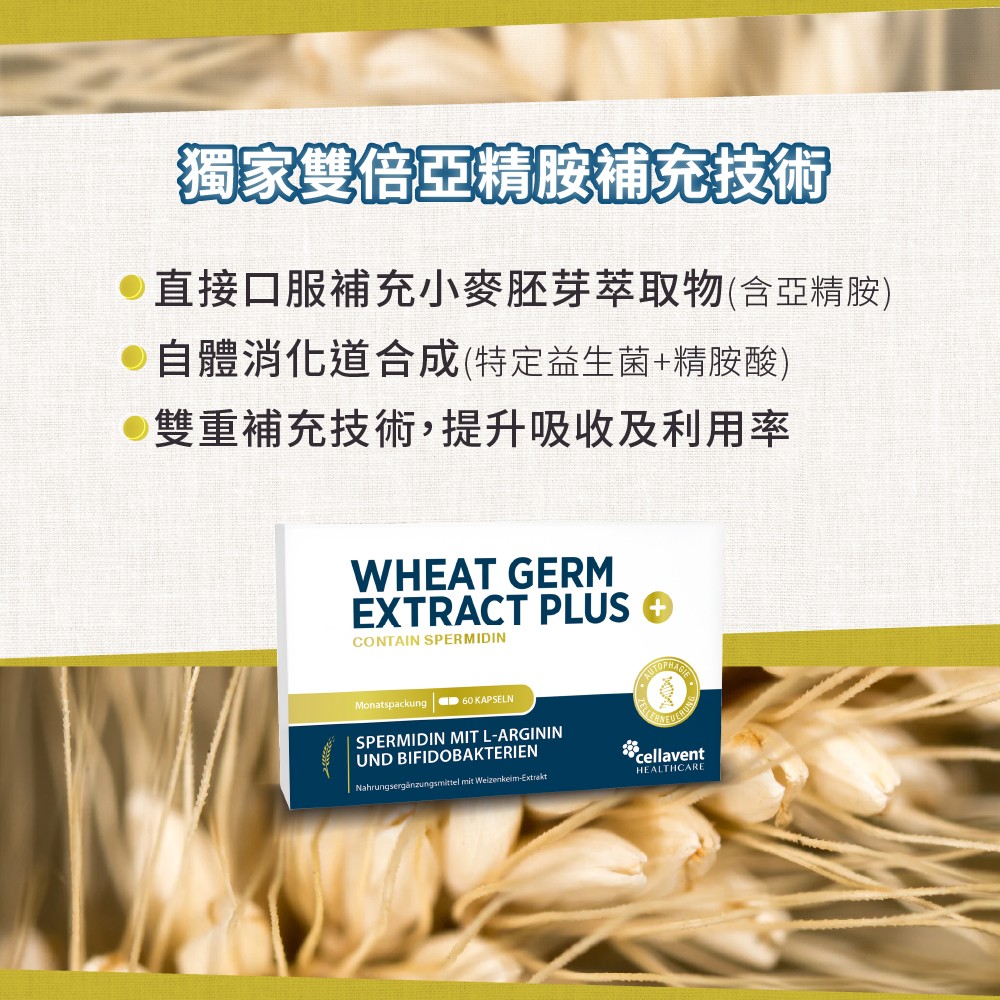 獨特雙倍亞精胺技術