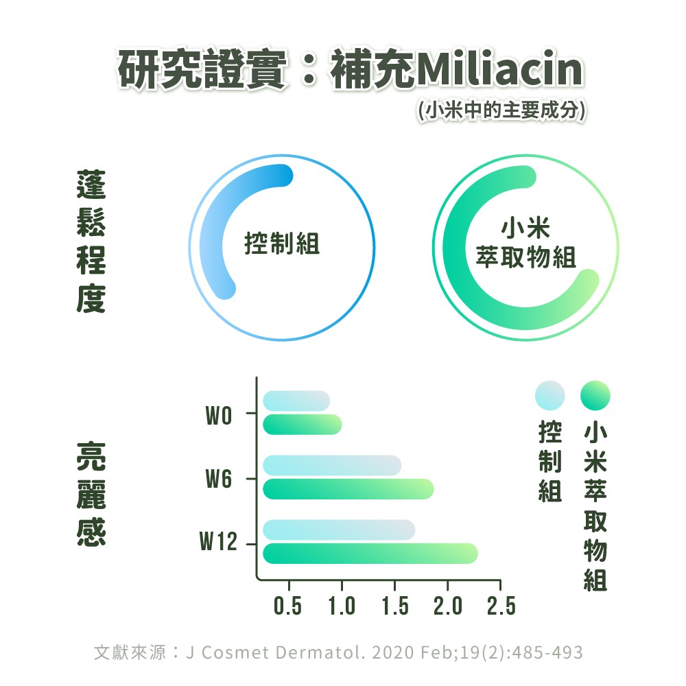 小米萃取物有助於維持蓬鬆柔韌