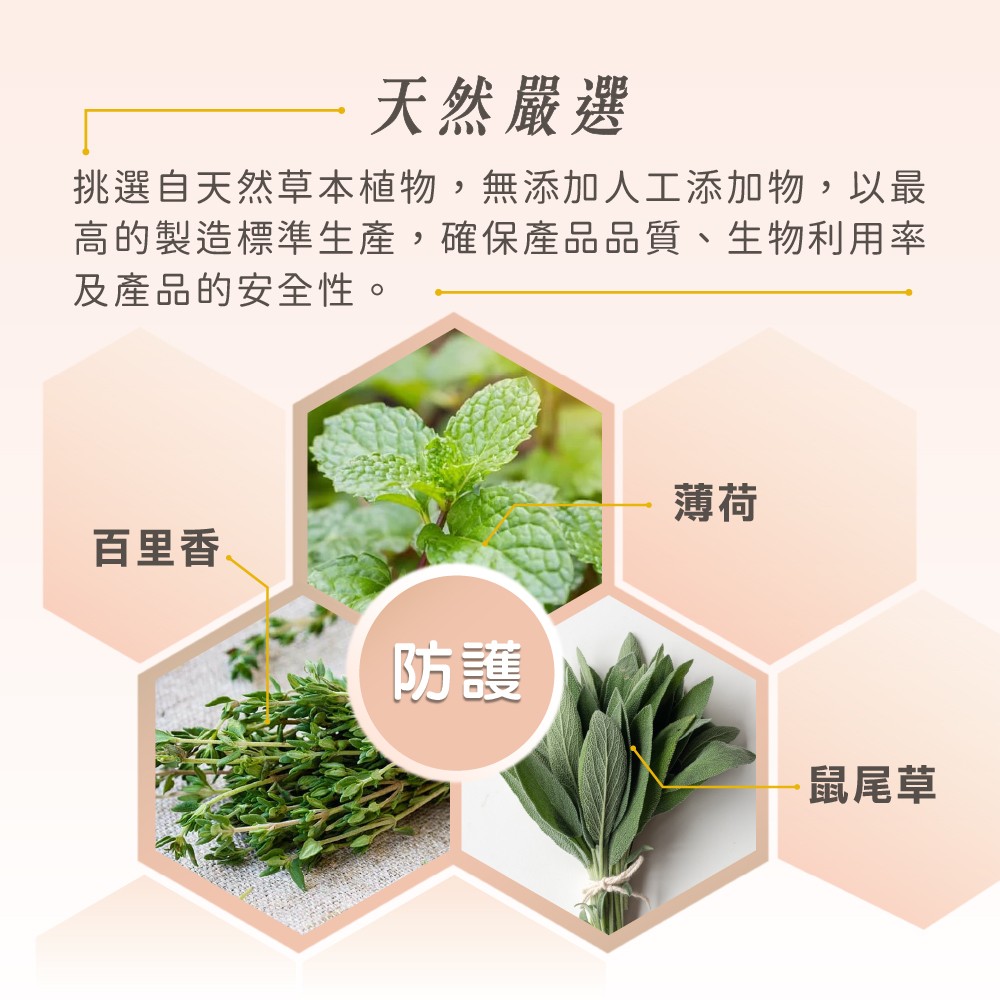 天然成分薄荷百里香與鼠尾草