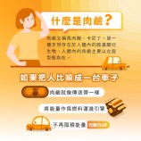 肉鹼功效