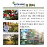 朝鮮薊推薦品牌